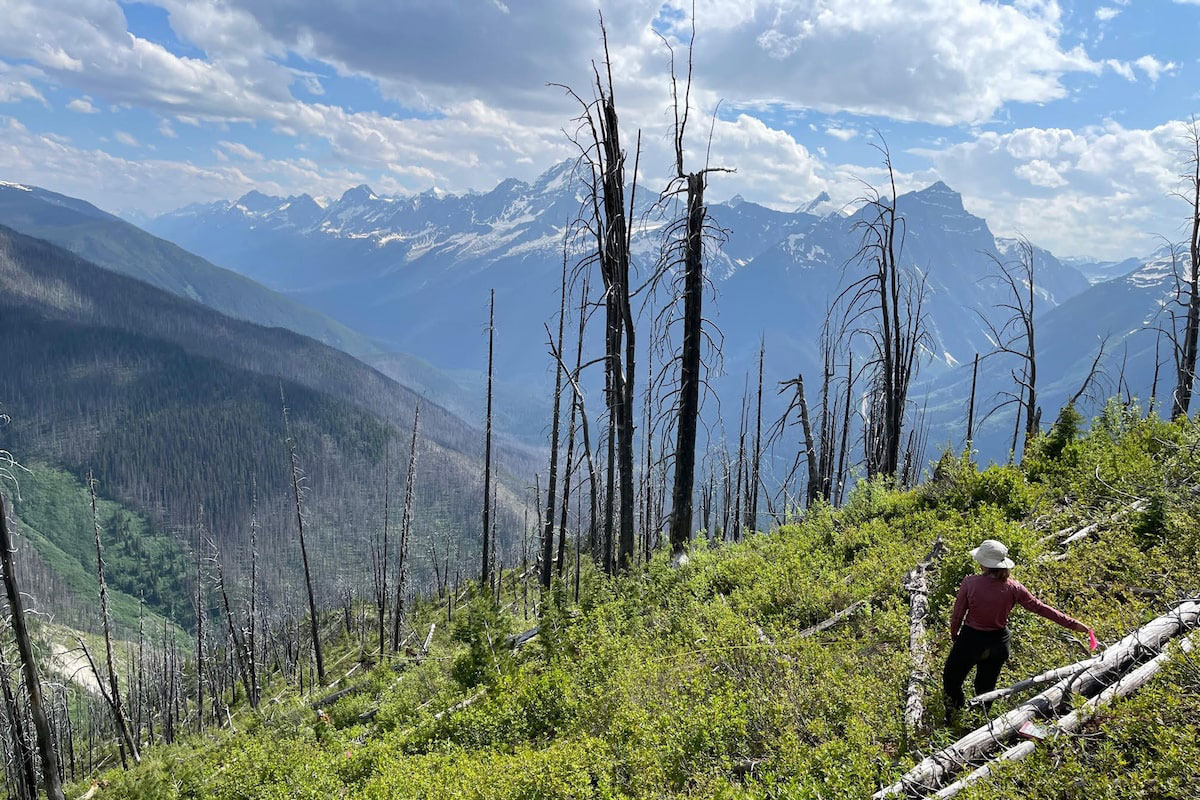 Scenic view of Glacier National Park, British Columbia