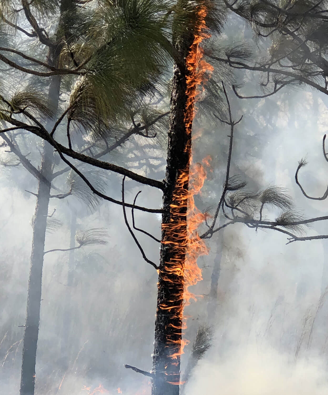 Wildfire burning in BC