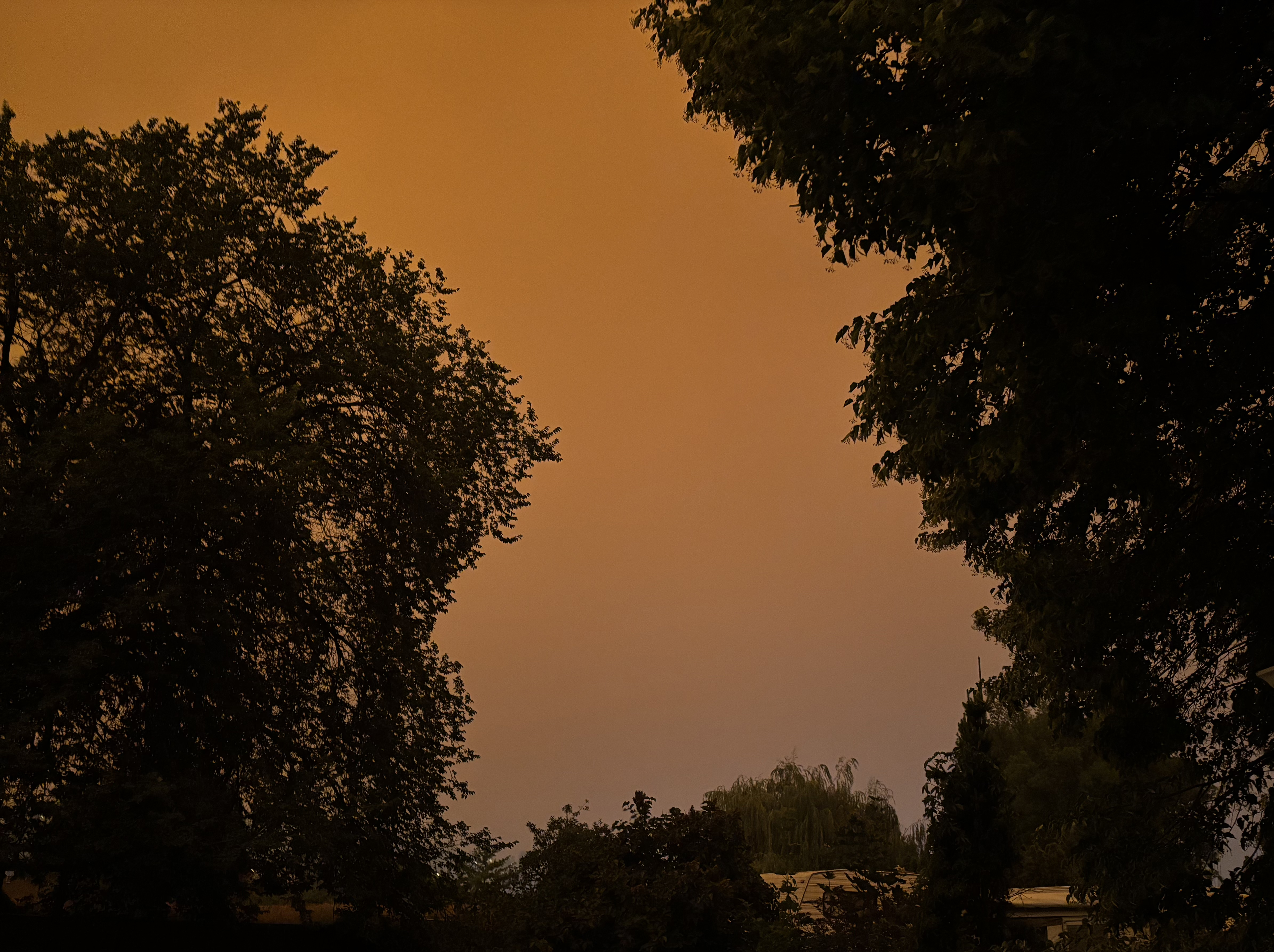 Kamloops sky Wildfire