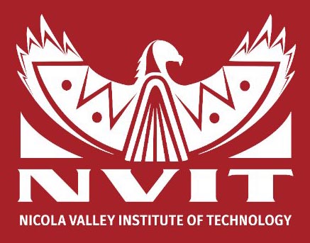 NVIT logo